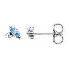 Sterling Silver 1-4 Stone .025 CTW Diamond Family Earrings