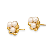 14K Gold Freshwater Cultured Pearl Earrings